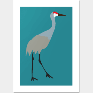 Sandhill crane Posters and Art